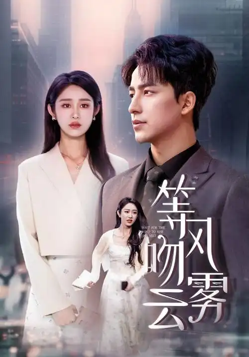 热播电视剧全集雾港来信高清在线观看
